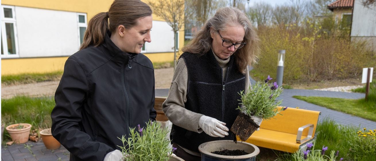 Patient og medarbejder arrangerer blomster i krukker på Center for Neurorehabilitering, 2025