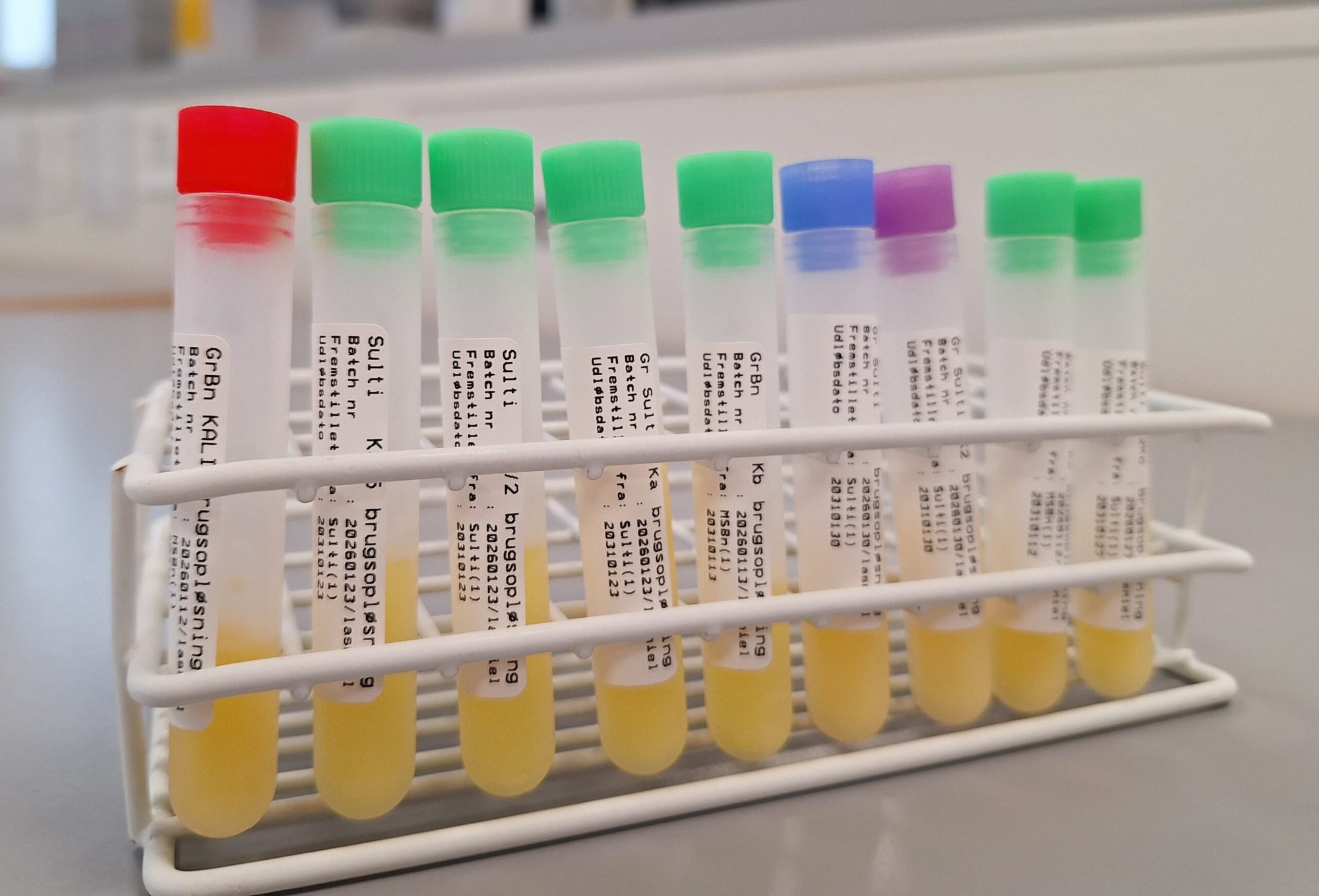 Foto af prøver fra Laboratoriet på Filadelfia, 2026