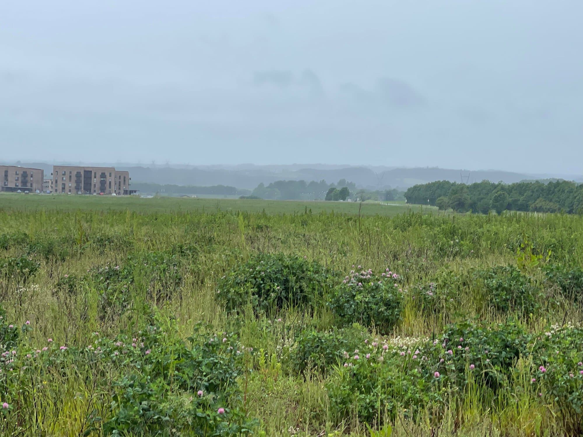 Den byggegrund hvor det nye botilbud skal bygges ved Nørrestrand, Horsens